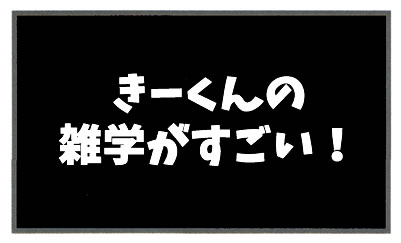 f:id:toshigoto:20161022204112j:plain