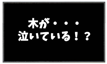 f:id:toshigoto:20170120112347j:plain