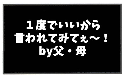 f:id:toshigoto:20170128190142j:plain