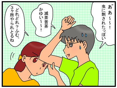 虫刺されにパッチを貼ったら もっと痒くなった上に面白くなった話 としごと しごとと